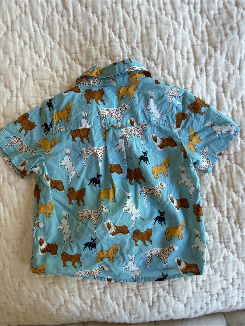 Blue Rooster Collection Light Blue Puppy Pattern Button-Down Shirt - Picture 4 of 4